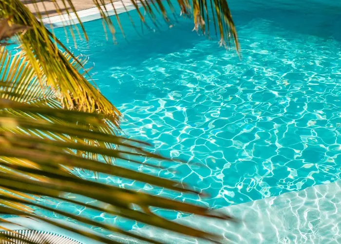 Alhambra Boutique By Pmc 公寓式酒店 普拉亚戴尔雷安格莱斯